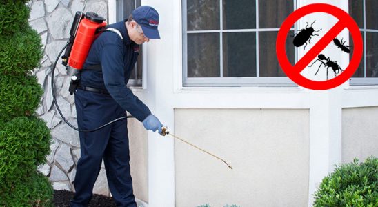 Balya Dezenfeksiyon böcek ilaçlama ve haşere kontrolü — ilaclama-tr.com